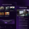 SaaS Vendor Management Template